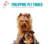 Print Design, Presentation Folder Design