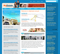 Real Estate Website Design
